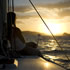 Photo Gallery: Sydney 39 Cruiser Racer by Sydney Yachts